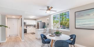 Bermuda Cay Gallery 7