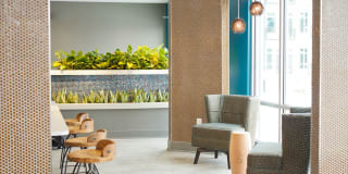 Artistry Apartments Gallery 33