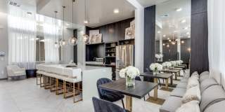 Remi West Dallas Remi West Dallas Gallery 17