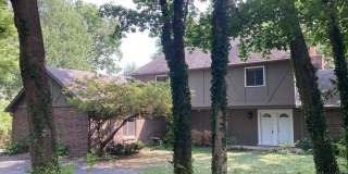 1605 Cool Creek Drive Gallery 2