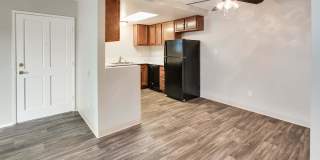 Camden Park Gallery 8