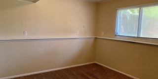 Cute House with Amazing Yard! Gallery 15