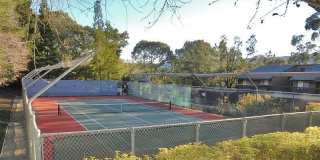 3334 Brittan Ave Apt 10 Gallery 19