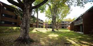 Radcliff House Gallery 41