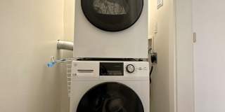 1Bd/1Ba Seattle Apartment Gallery 11