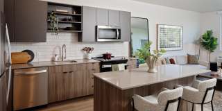 Astral & Revel by Alta Gallery 1