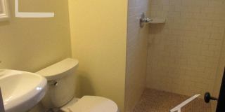 Large pet friendly, sunny, renovated 3 bed unit near Brookline Village. Gallery 7