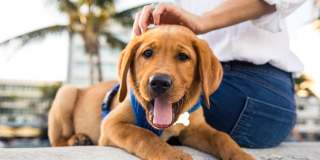 Windsor Coconut Creek Gallery 40