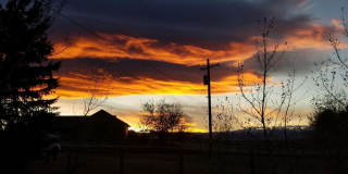 Pre-Lease Avail. 06/01 - Open  Bright, Updated Flooring, W/D Available Gallery 1