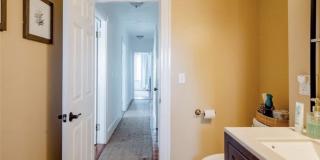 10 Carleton St Gallery 11