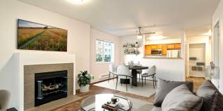 Valley Springs Gallery 16