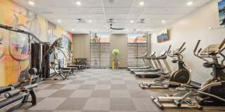 The Ethan Gallery 28