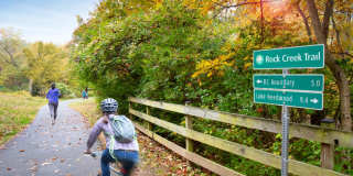 The Magnolia Gallery 45