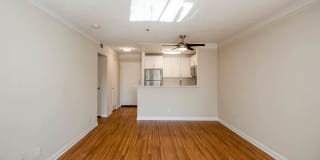 The Encore Gallery 7