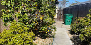 Clairemont-San Diego 3BR with Pool Gallery 9