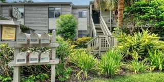 1611 CLOWER CREEK DRIVE Gallery 1