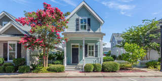 Sweetgrass Square - Market Common Sweetgrass Square - Market Common Gallery 1