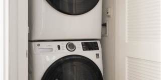 Springline Menlo Park Gallery 21