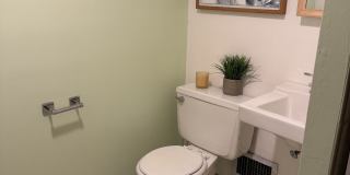10 Heron Road Gallery 19
