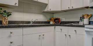 Bears Village Gallery 9