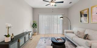 Magnolia at Powell Gallery 47