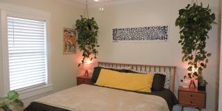 Charming cottage near downtown Pensacola! Gallery 12