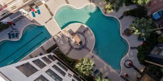 The Halstead Gallery 21