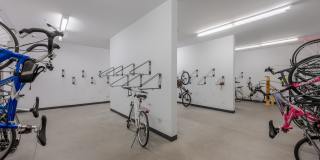 Pinnex Gallery 17