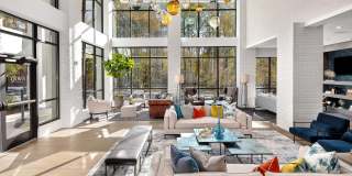 Evoq Johns Creek - 55+ Senior Apartments Gallery 3