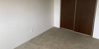 Linden Apartments Gallery 12