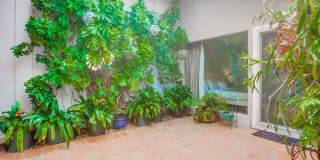 Modern Ocean View Home in La Jolla 4 Bed, 3 Bath Gallery 90
