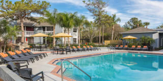 Northgreen at Carrollwood Gallery 21