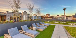 Windsor Queen Anne Gallery 28