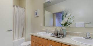 Discovery Heights Discovery Heights Gallery 23