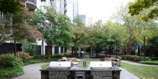 Edgewater Gallery 55