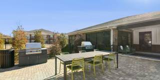 Ascend at Carlton Gallery 75