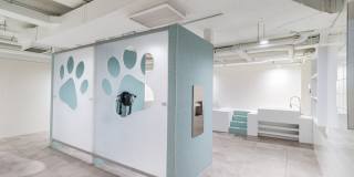 City Ridge Gallery 25