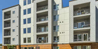 The Lookout Gallery 1