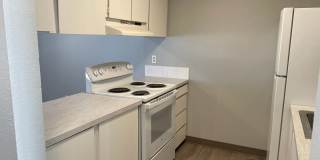 P14616 Gallery 8