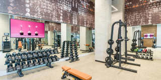 Modera LoSo Gallery 39