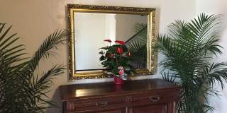 The Patricia Apartments  - the most elegant apartments in Richmond Gallery 49