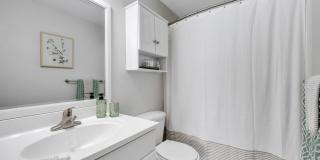 The Meadows Gallery 37