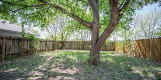 9914 Ardash Ln Gallery 42