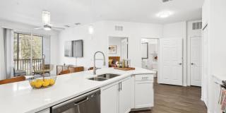 Douglas Grand at Telecom Parkway Gallery 6