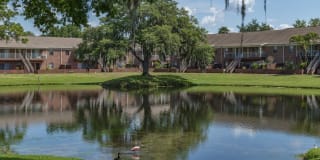 View Carlton Arms Gallery 42