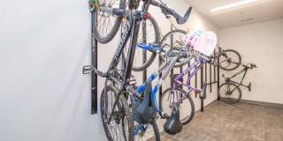 Trails Bend Gallery 13