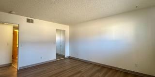 Lovely 1 Bedroom, 1 Bathroom Lakewood Condo! Community POOL!!! Gallery 10