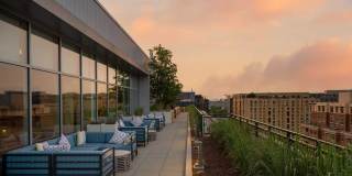 Insignia On M Gallery 22