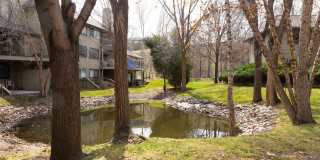 Wonderful apartment available with 2 primary bedrooms Gallery 27
