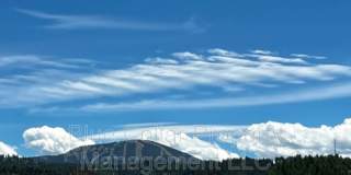 104 College Street - 3 Gallery 1